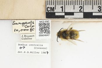 Media type: image;   Entomology 804647 Aspect: labels